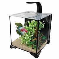 Fluval 20L Betta Aquarium Kit