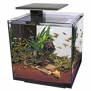 Superfish Qubiq 60 PRO Aquarium BLACK