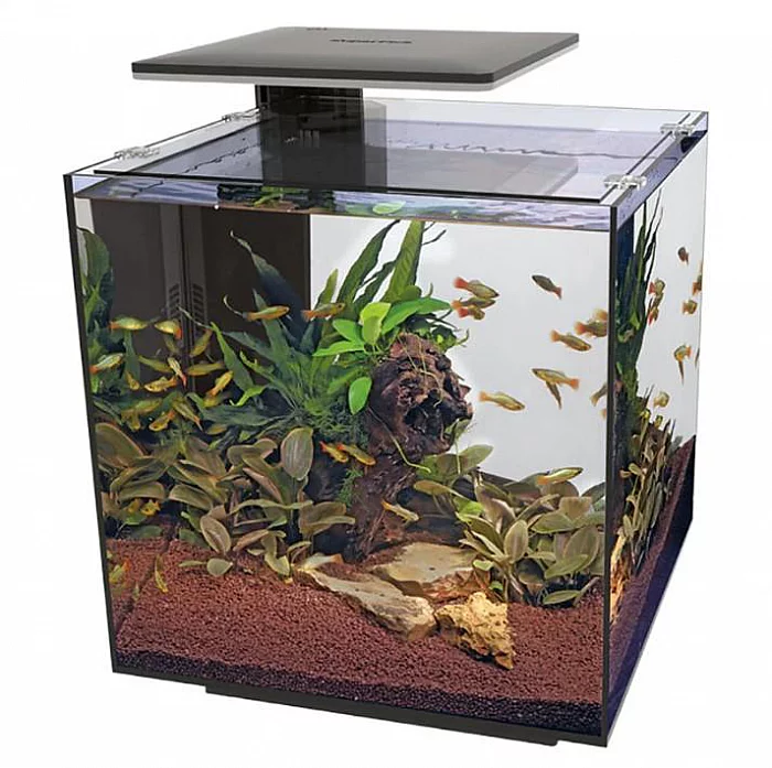 Superfish Qubiq 60 PRO Aquarium BLACK